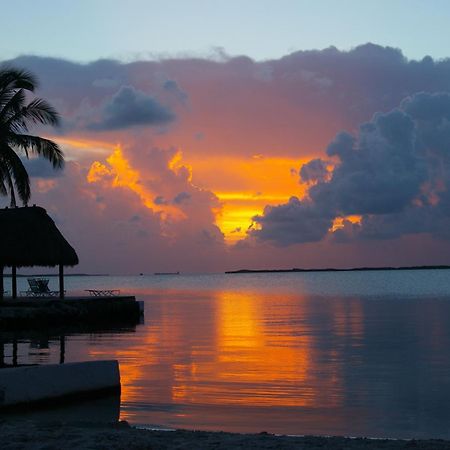 Rock Reef Resort Key Largo Exteriör bild