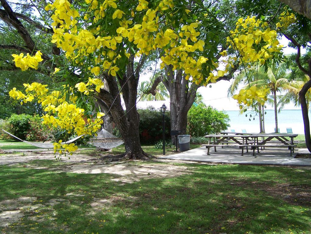 Rock Reef Resort Key Largo Exteriör bild