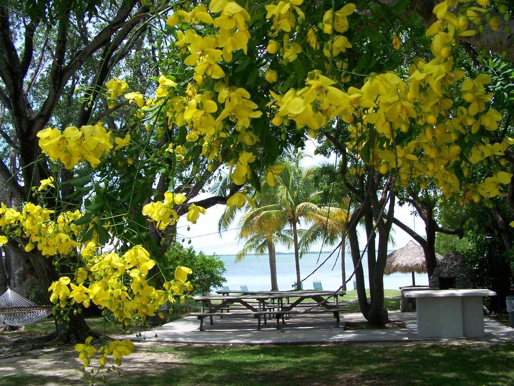 Rock Reef Resort Key Largo Exteriör bild